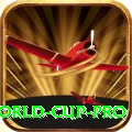 2019 world cup Official v3.3.9