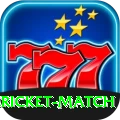 all cricket match Deluxe Edition v4.8.7