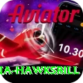 antigua hawksbill Games (Casino & Earning) Plus v1.1.6