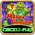 australian cricket Deluxe PK v4.8.6
