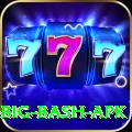 bbl big bash apk Deluxe Pro v5.9.7