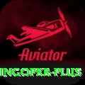bingopkr Plus Edition v1.3.9