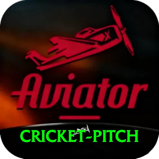 cricket pitch Gold Edition v5.8.4 - 2