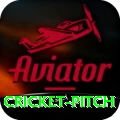 cricket pitch Gold Edition v5.8.4