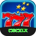 crickex Plus v4.0.3