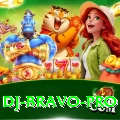 dj bravo - Live VIP