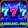 gambling - Slots Premium