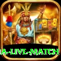 india australia live match VIP v1.1.5