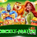 india cricket match Max v2.5.0