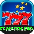 india cricket match Game King v3.1.2