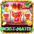 international cricket match VIP v4.3.9