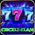ireland cricket team Elite v2.3.4