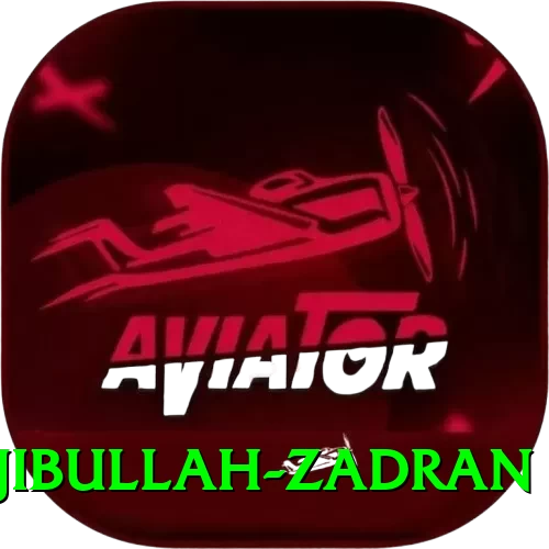 najibullah zadran Pro1 v1.6.7 - 2