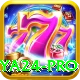 Naya24 Pro Edition v5.1.4