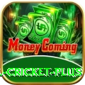 nepal cricket Casino Pro v2.7.9