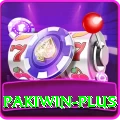 pakiwin Plus Edition v2.2.3