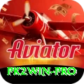 pk2win Pro v2.1.9