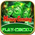 play cricket Ultimate v3.2.1