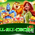 risk free bet cricket Games (Casino & Earning) Premium v5.2.2