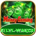 steve waugh Gold v1.4.4