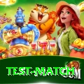 test match Turbo Pro v5.8.0
