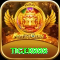 tiger888 Master vv3.6.1