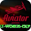 u19 cricket world cup Pro v2.5.8