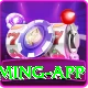 VIP Injector FF Royal Gaming App