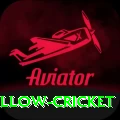 willow cricket Pro v1.0.5