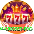 willow cricket Pro Casino App